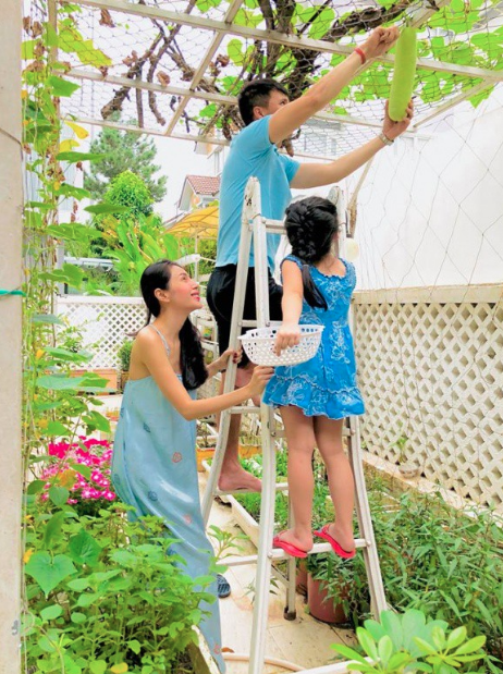 Các sao Việt vừa giỏi chạy show vừa chăm sản xuất rau sạch tại nhà