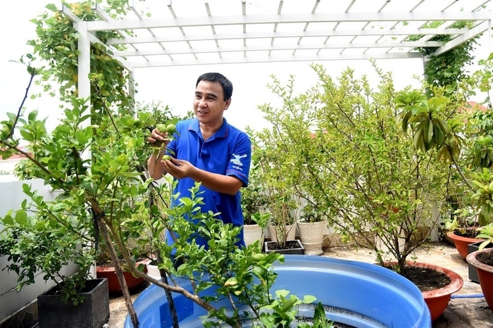 Các sao Việt vừa giỏi chạy show vừa chăm sản xuất rau sạch tại nhà