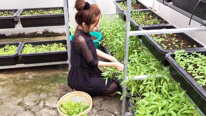 Các sao Việt vừa giỏi chạy show vừa chăm sản xuất rau sạch tại nhà