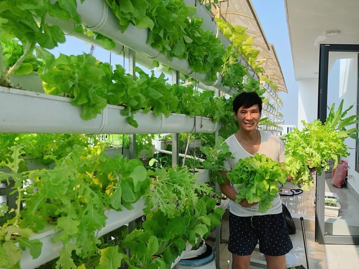 Các sao Việt vừa giỏi chạy show vừa chăm sản xuất rau sạch tại nhà