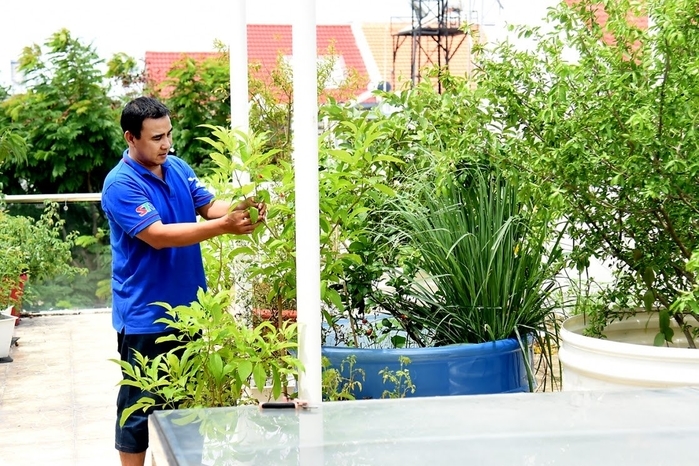 Các sao Việt vừa giỏi chạy show vừa chăm sản xuất rau sạch tại nhà