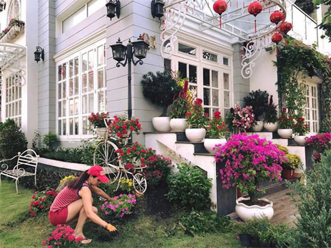 Các sao Việt vừa giỏi chạy show vừa chăm sản xuất rau sạch tại nhà