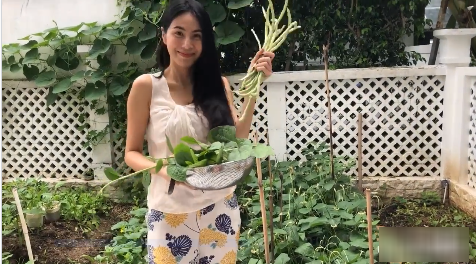 Các sao Việt vừa giỏi chạy show vừa chăm sản xuất rau sạch tại nhà