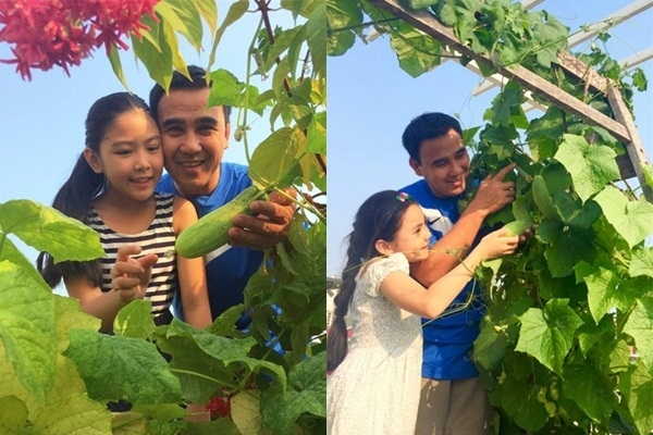 Các sao Việt vừa giỏi chạy show vừa chăm sản xuất rau sạch tại nhà
