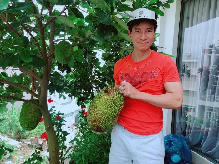 Các sao Việt vừa giỏi chạy show vừa chăm sản xuất rau sạch tại nhà
