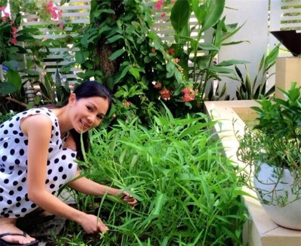 Các sao Việt vừa giỏi chạy show vừa chăm sản xuất rau sạch tại nhà