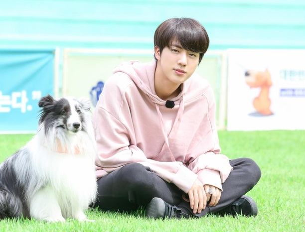 Đâu chỉ có Jin (BTS), loạt sao Hàn này cũng rất yêu thích thú cưng