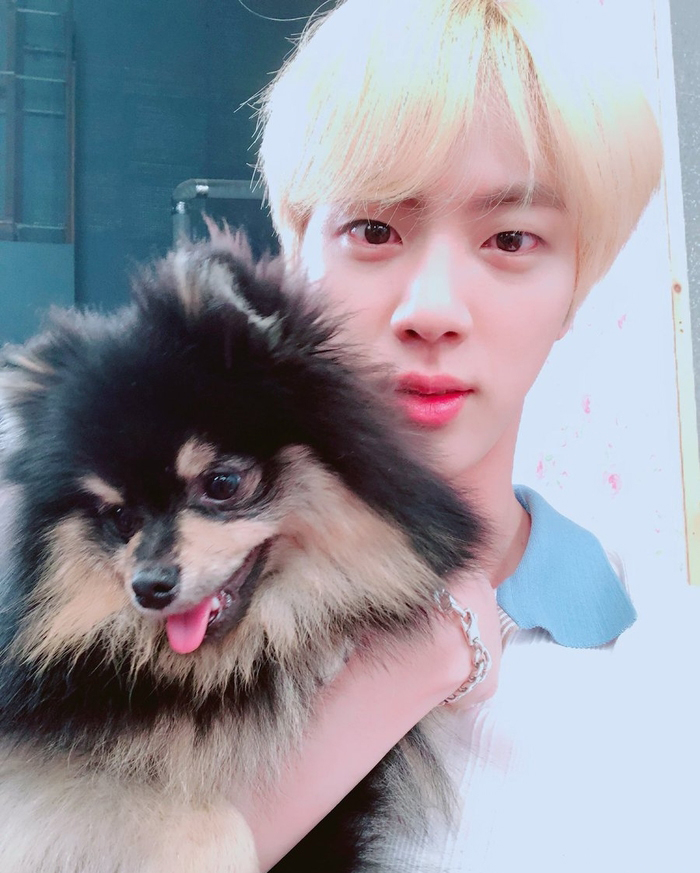 Đâu chỉ có Jin (BTS), loạt sao Hàn này cũng rất yêu thích thú cưng