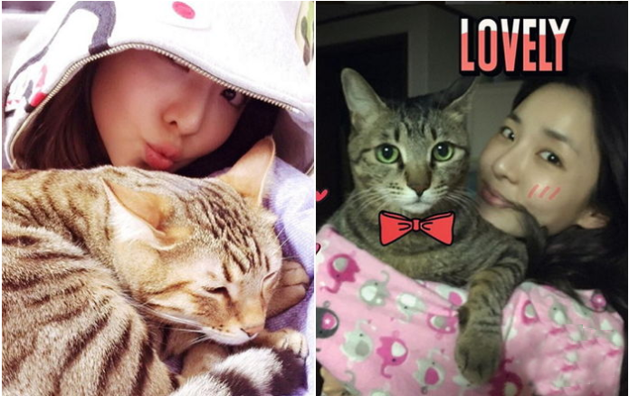 Đâu chỉ có Jin (BTS), loạt sao Hàn này cũng rất yêu thích thú cưng