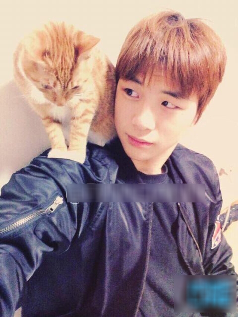 Đâu chỉ có Jin (BTS), loạt sao Hàn này cũng rất yêu thích thú cưng