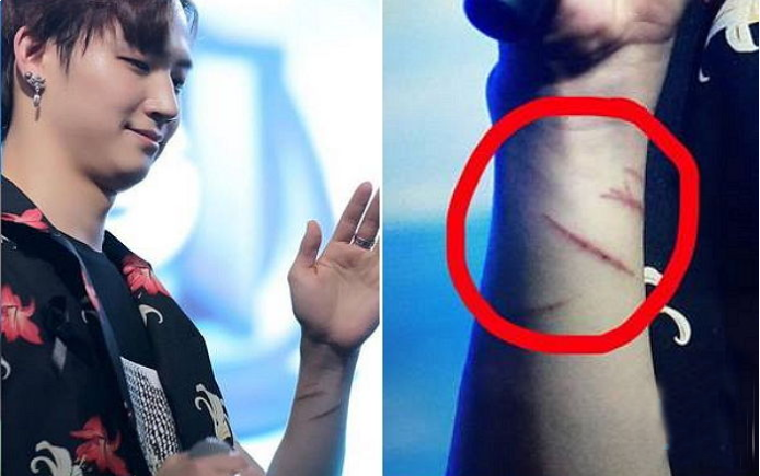 Đâu chỉ có Jin (BTS), loạt sao Hàn này cũng rất yêu thích thú cưng