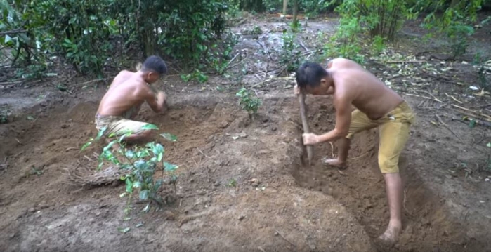 Ngỡ ngàng trước hồ bơi tự chế của hai anh em giữa rừng nhiệt đới