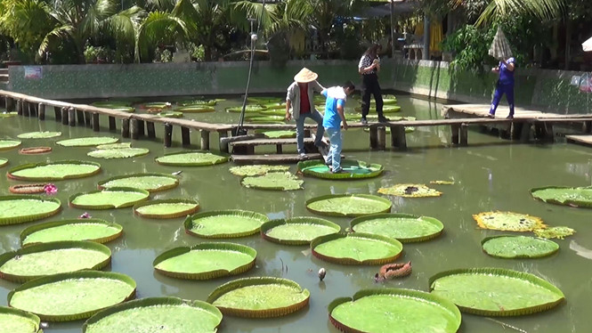 Top những ngôi chùa “độc nhất vô nhị ở Việt Nam