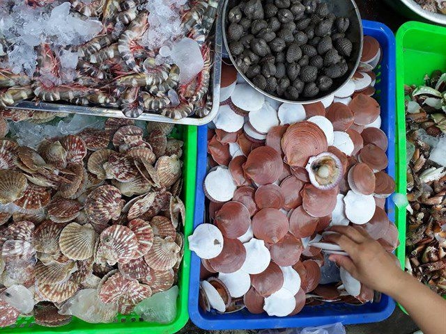 Những chợ hải sản rẻ nhất Vũng Tàu, vừa tươi vừa không lo chặt chém