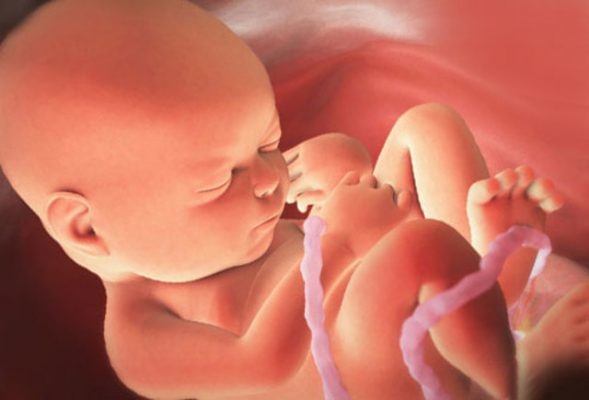 Những dấu hiệu cho thấy thai nhi không phát triển mẹ đặc biệt lưu ý