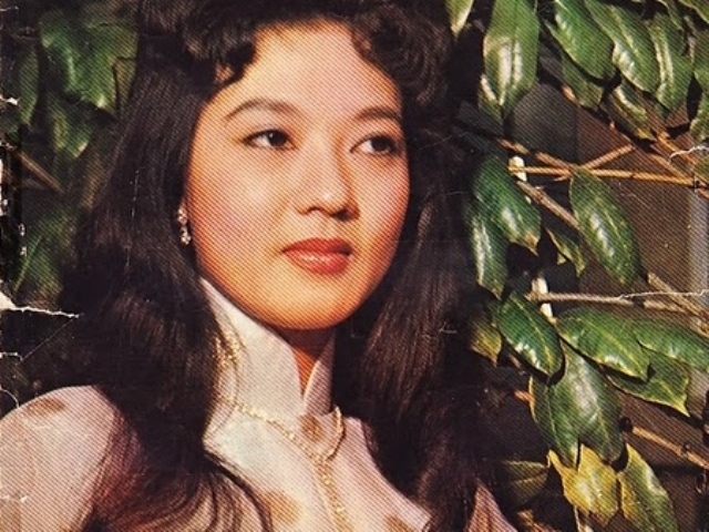 Những mỹ nhân là biểu tượng nhan sắc một thời của làng giải trí Việt