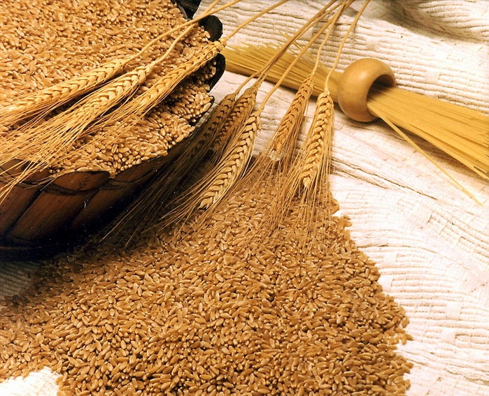 Những thực phẩm ăn một bữa no một ngày, rất thích hợp để ăn kiêng