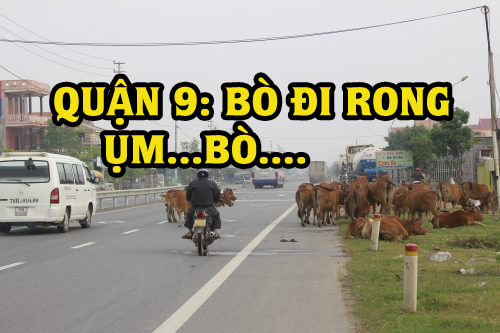 Sài Gòn và những âm thanh huyền thoại nghe tới là biết quận nào ngay