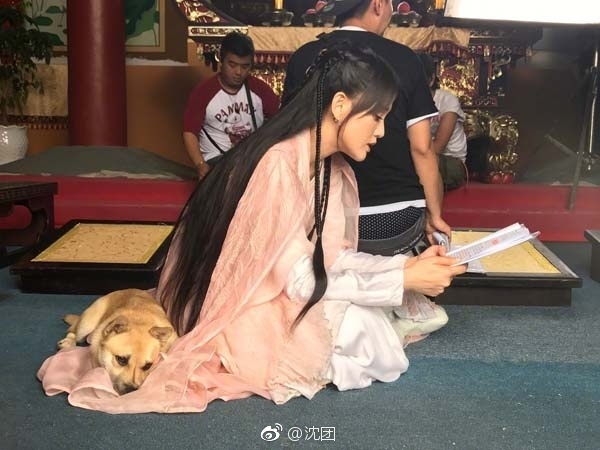 Trần Kiều Ân bất ngờ lấy lại tình cảm của netizen nhờ chó cưng