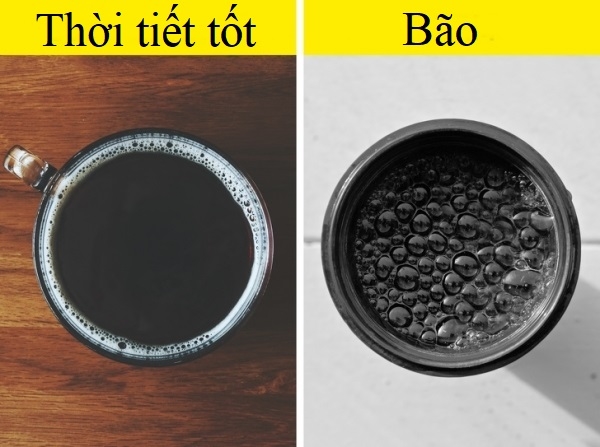 Bí quyết giúp bạn thoát khỏi những tình huống nguy hiểm trong gang tấc