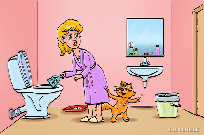 12 thứ mà bạn tuyệt đối không được xả xuống bồn cầu