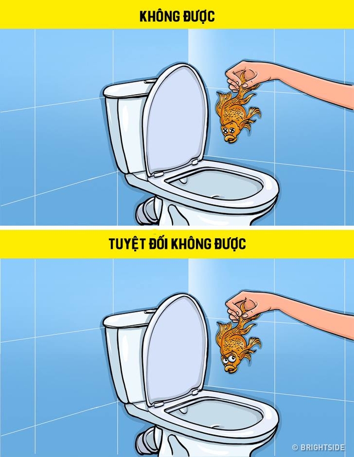 12 thứ mà bạn tuyệt đối không được xả xuống bồn cầu