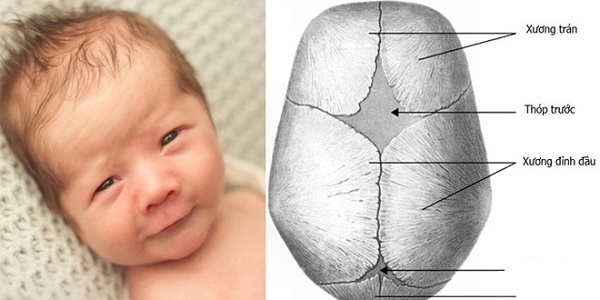 4 bộ phận không được chạm vào của trẻ sơ sinh bố mẹ phải lưu ý