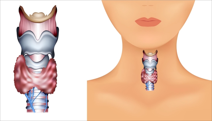 7 bệnh lý về sức khỏe khiến chúng ta không thể nào giảm cân thành công