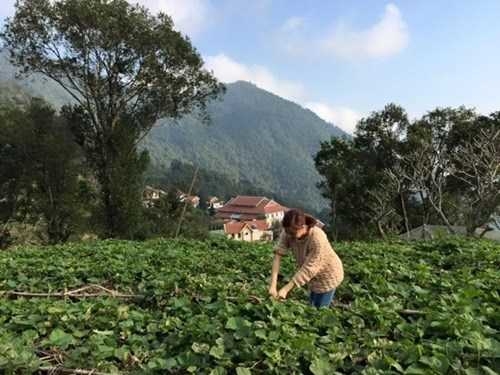 Những mỹ nhân chạm ngưỡng 30, vừa xinh đẹp vừa giàu kếch xù của Vbiz