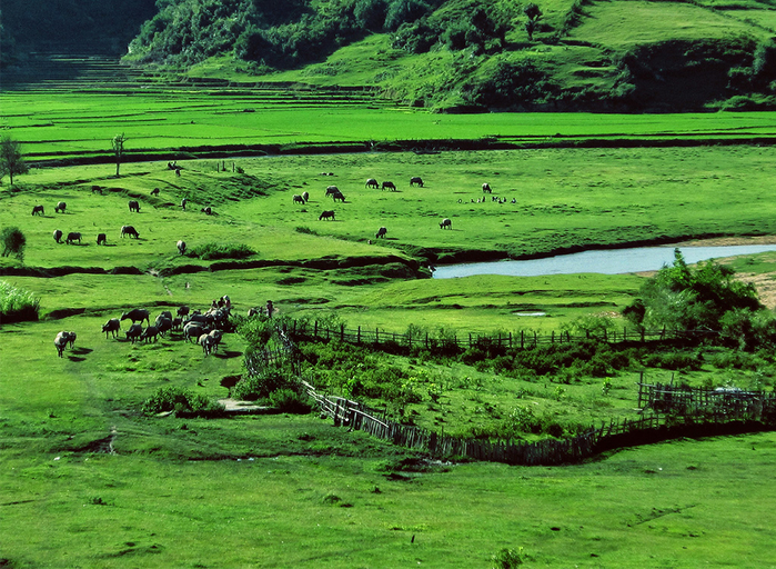 Bốn mùa cứ nhẹ nhàng luân chuyển trong một ngày ở những địa điểm sau
