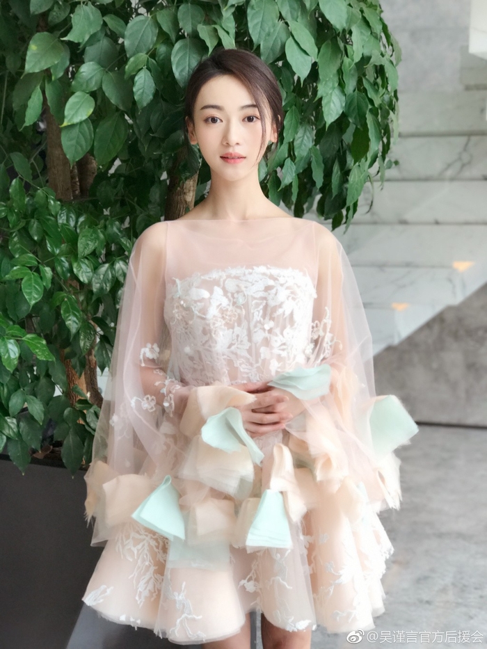 Được sủng ái trong phim nhưng Ngô Cẩn Ngôn lại lận đận ngoài đời