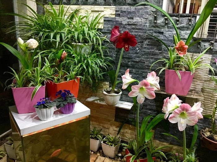 Ít ai ngờ, nhà ca sĩ Bích Phương ở quê đẹp xuất sắc như vậy