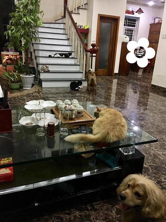 Ít ai ngờ, nhà ca sĩ Bích Phương ở quê đẹp xuất sắc như vậy