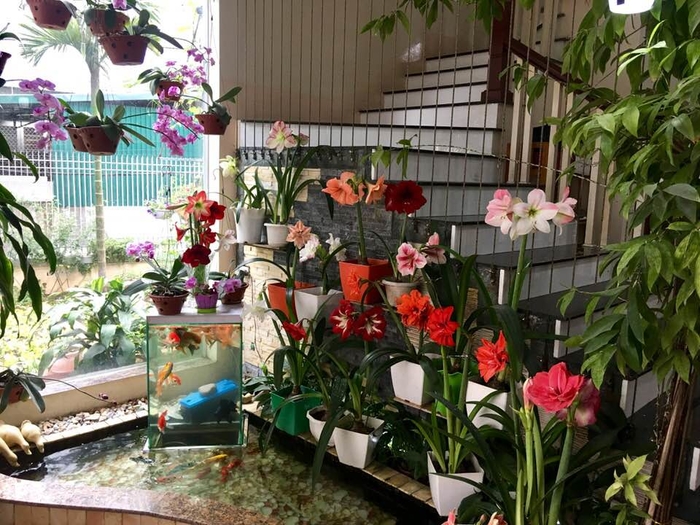 Ít ai ngờ, nhà ca sĩ Bích Phương ở quê đẹp xuất sắc như vậy