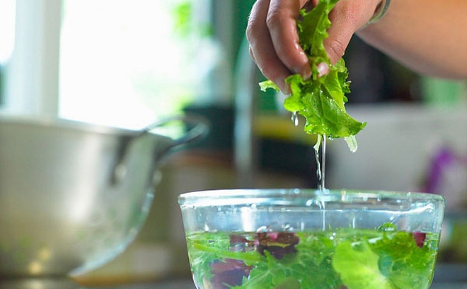 Không phải hóa chất đây mới là thứ nước đặc biệt giúp rau tươi xanh