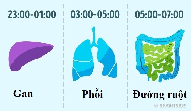 Thói quen đơn giản không ai ngờ tới lại giúp bạn kéo dài tuổi thọ