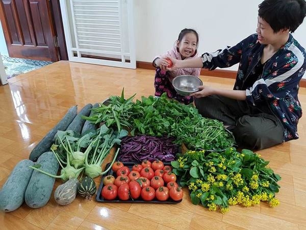 Khu vườn 60m2 đủ loại rau của mẹ Hải Phòng mà bất cứ ai cũng ao ước