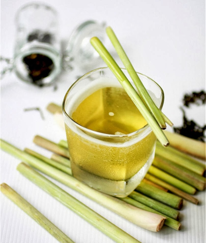 Lợi ích của cây sả: Ngừa ung thư, chữa đau bụng