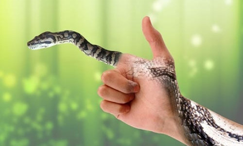 Nếu ngủ mà mơ thấy những điều này thi tài lộc ùn ùn về túi