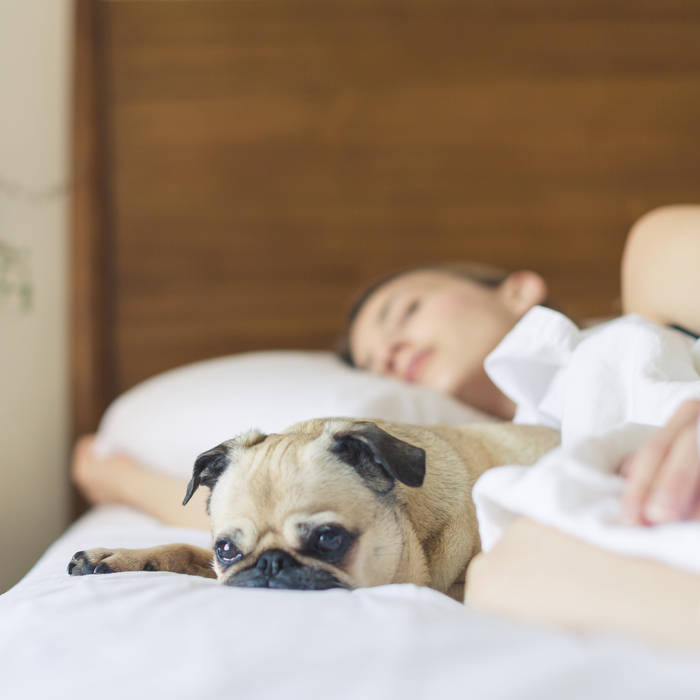 Những điều các chuyên gia không khuyến khích làm trước giờ ngủ