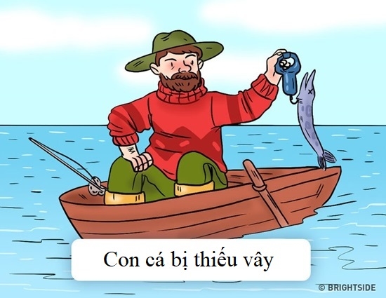 Thử tài giải câu đố tìm lỗi sai siêu hóc búa thách thức cư dân mạng