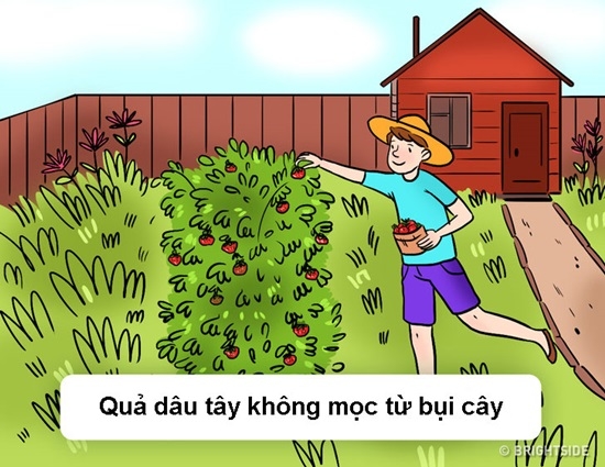 Thử tài giải câu đố tìm lỗi sai siêu hóc búa thách thức cư dân mạng