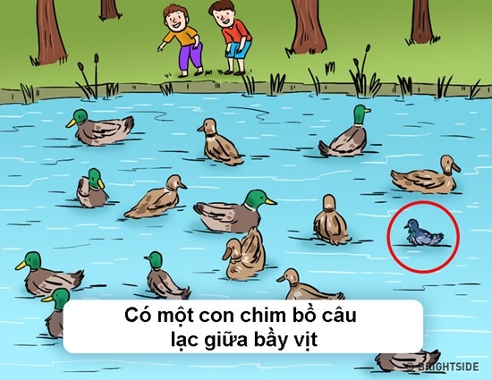 Thử tài giải câu đố tìm lỗi sai siêu hóc búa thách thức cư dân mạng