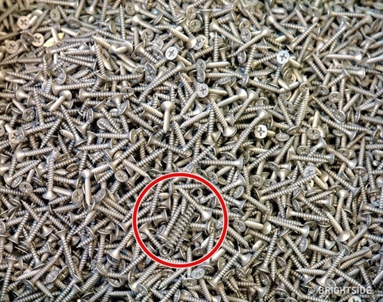 Thử tài tinh mắt: Tìm đồ vật khác biệt đang ẩn nấp trong những bức ảnh