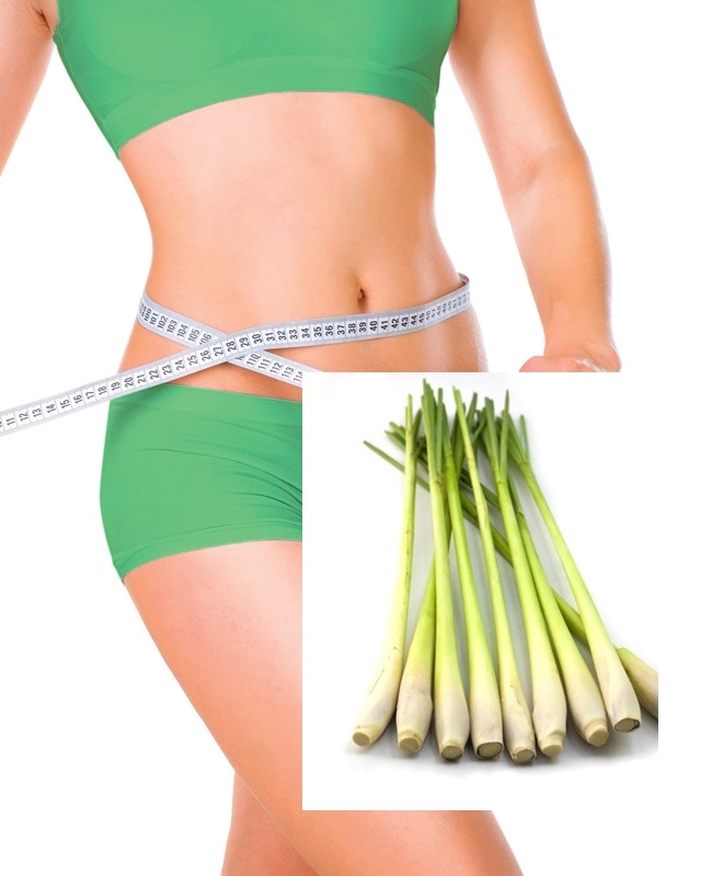 Lợi ích của cây sả: Ngừa ung thư, chữa đau bụng