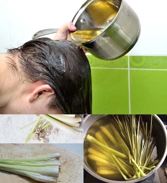 Lợi ích của cây sả: Ngừa ung thư, chữa đau bụng