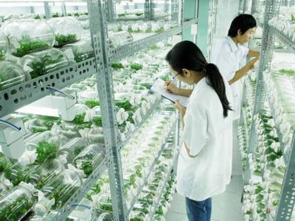 Ngôi trường đặc biệt rộng bậc nhất Việt Nam, có nhiều góc sống ảo