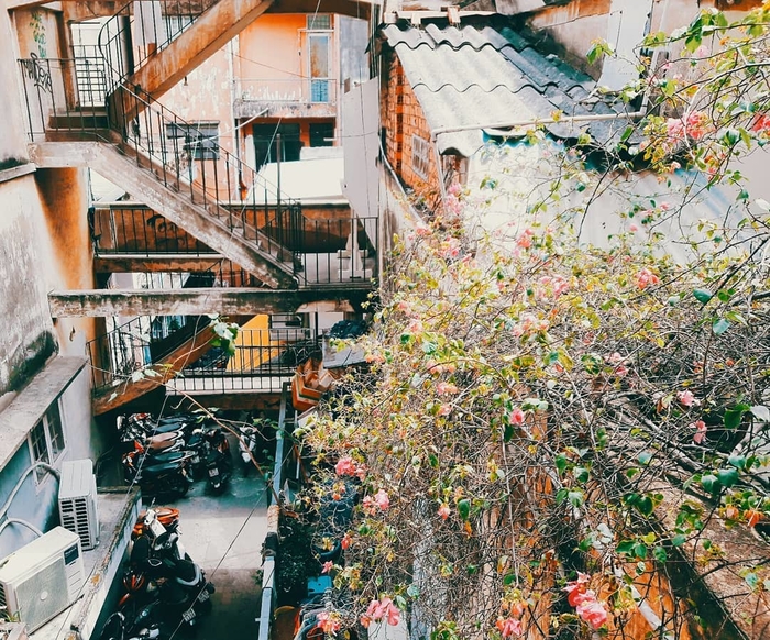 4 chung cư ở Sài Gòn nhìn thì cũ nhưng thực chất là thánh địa check-in