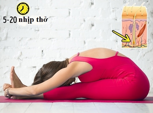 8 tư thế yoga vừa sáng da đẹp dáng lại cải thiện mái tóc gãy rụng