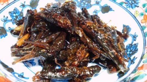 9 món ăn kinh dị của Nhật Bản khiến du khách “khóc thét”